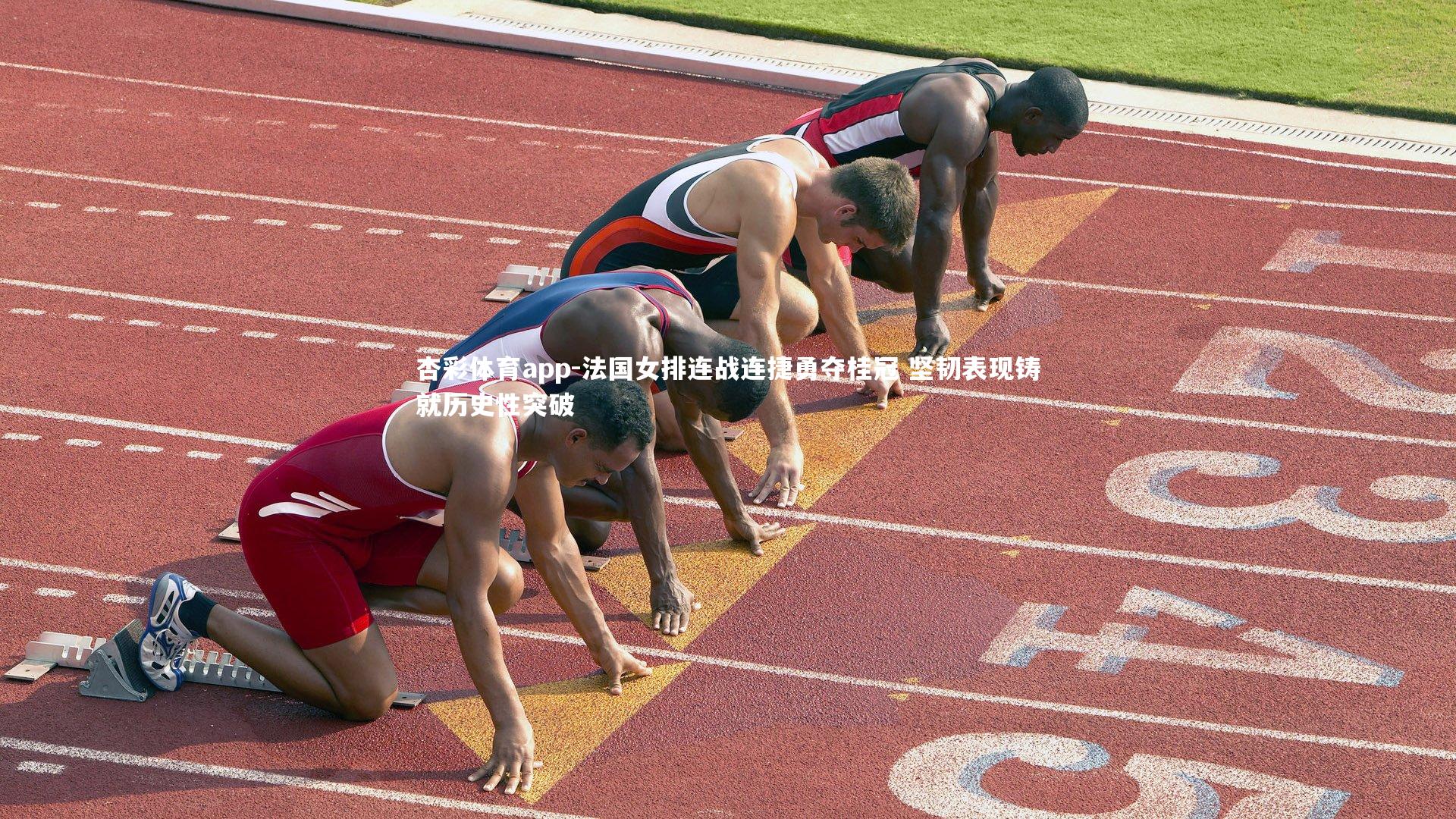 法国女排连战连捷勇夺桂冠 坚韧表现铸就历史性突破